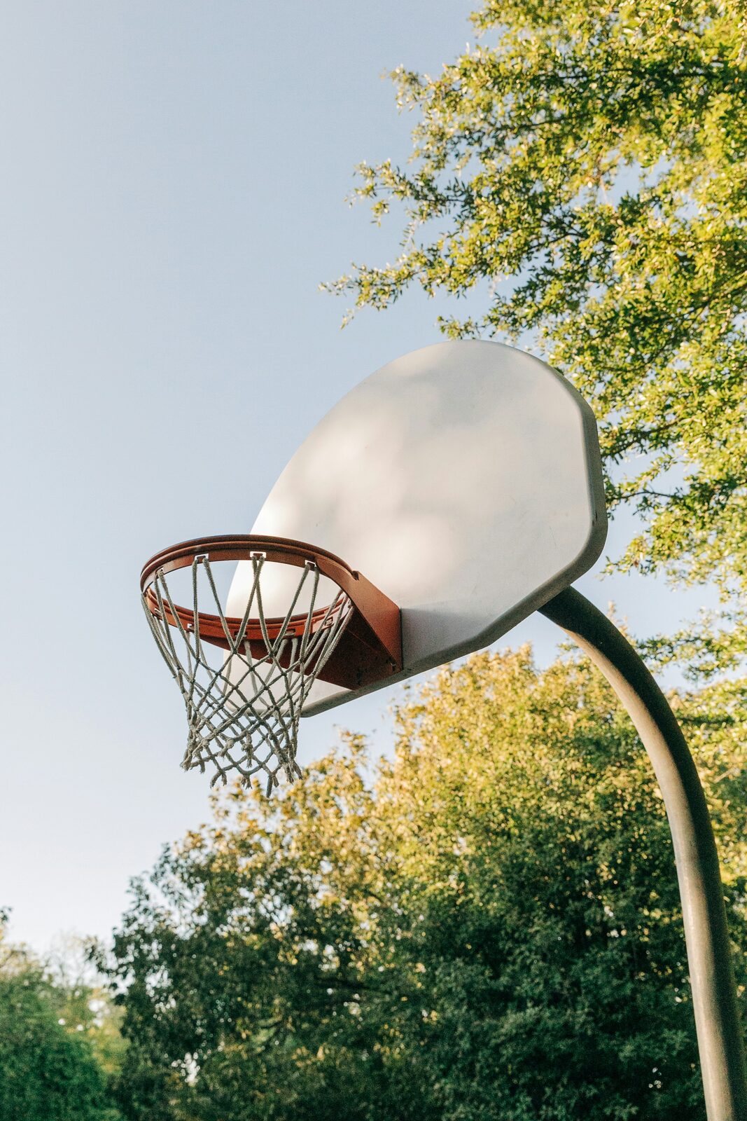 A basketball hoop and backboard against a tree canopy