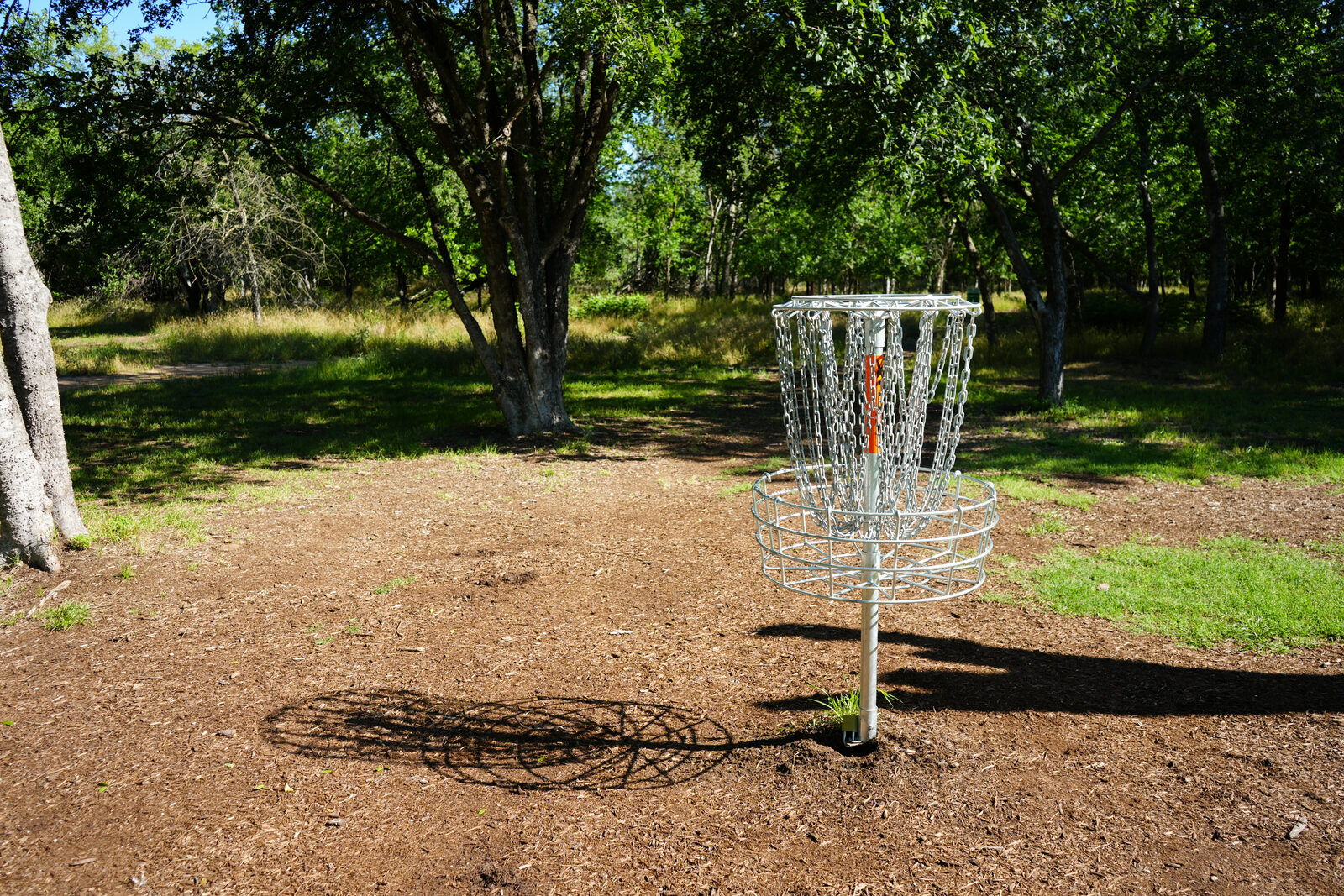 A disc golf basket on a wooded Austin park course